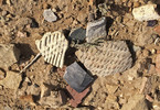 photo thumbnail #6