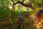 photo thumbnail #2
