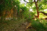 photo thumbnail #3