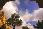 photo thumbnail #4