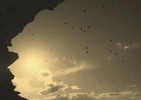 photo thumbnail #15