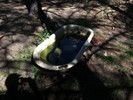 photo thumbnail #1