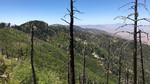 photo thumbnail #10