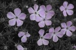 photo thumbnail #15
