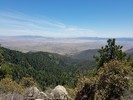 photo thumbnail #14