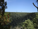 photo thumbnail #9