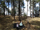 photo thumbnail #10