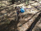 photo thumbnail #13