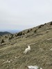 photo thumbnail #12