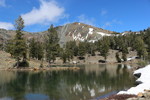 photo thumbnail #5