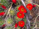 photo thumbnail #14