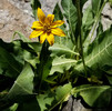 photo thumbnail #8