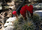 photo thumbnail #9