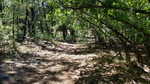 photo thumbnail #12
