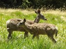 photo thumbnail #3