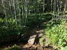 photo thumbnail #4
