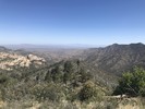 photo thumbnail #1