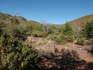 photo thumbnail #6