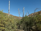 photo thumbnail #8