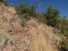photo thumbnail #9