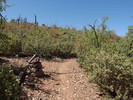 photo thumbnail #11