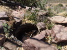 photo thumbnail #13