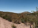 photo thumbnail #14