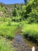 photo thumbnail #12