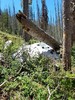 photo thumbnail #5