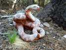 photo thumbnail #9