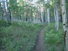 photo thumbnail #1