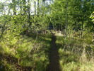 photo thumbnail #2