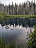 photo thumbnail #7