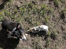 photo thumbnail #6