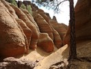 photo thumbnail #4