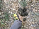 photo thumbnail #7