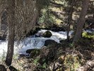 photo thumbnail #4