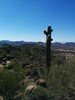 photo thumbnail #8