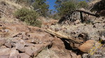 photo thumbnail #3