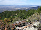 photo thumbnail #6