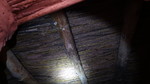 photo thumbnail #15