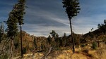 photo thumbnail #13