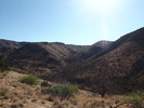 photo thumbnail #15