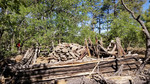 photo thumbnail #1