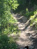 photo thumbnail #5