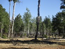 photo thumbnail #13