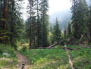 photo thumbnail #4
