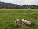 photo thumbnail #1