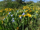 photo thumbnail #1