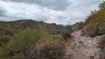 photo thumbnail #1